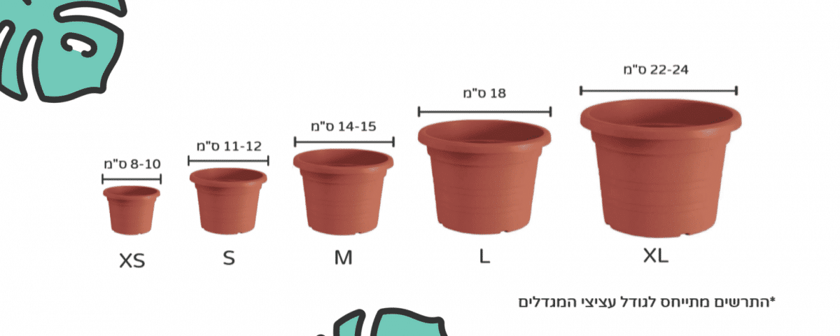 גדלים של עציצי מגדלים