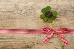 איזה צמחים מתאימים בתור מתנה