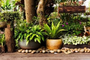 עיצוב גינה וסידור נכון של הצמחים בגינה