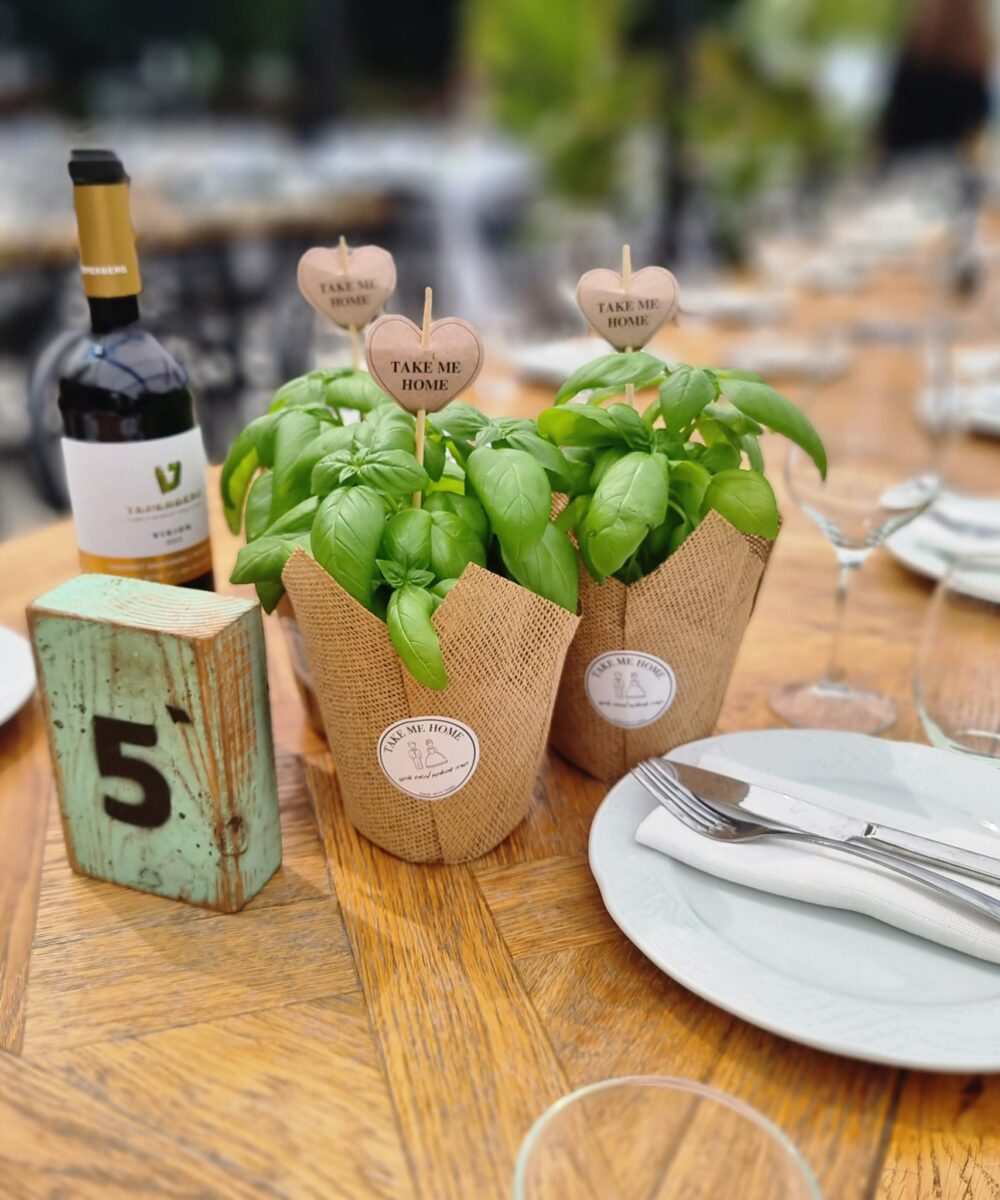 עציצים לאירועים